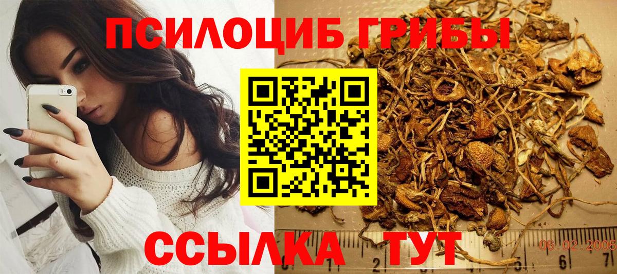 Псилоцибиновые грибы Psilocybine cubensis  Галлюциногенные грибы MAGIC MUSHROOMS  Вход с VPN  Железноводск 